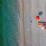 Albatros 4*